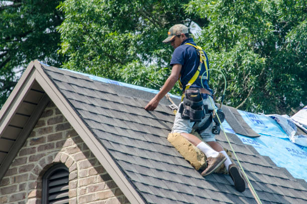 Best Roof Gutter Cleaning  in Mount Joy, PA